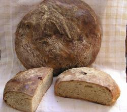 Bread